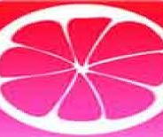 柚子视频无限制版