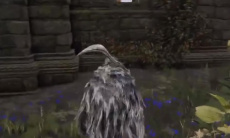 《艾尔登法环》前往蒙格温王朝方法2