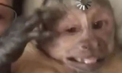 听不懂思密达梗的来源和意思