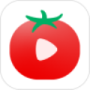 番茄视频免购买版
