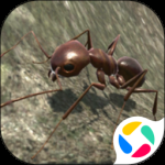 蚂蚁模拟器