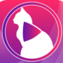 小猫直播tv版