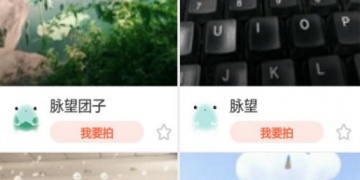 蜜芽社区APP