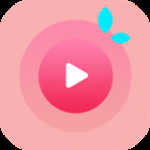 荔枝影视大全免费版