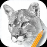 素描绘画入门教程2024版