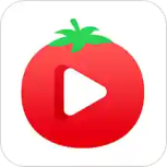 番茄一对一版