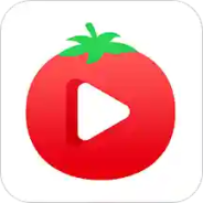 番茄一对一版