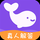 准准免费聊天版