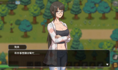 乡村狂想曲全任务完美指南