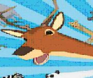 非常普通的鹿正版