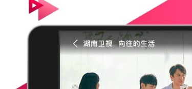 和五星体育同款的APP