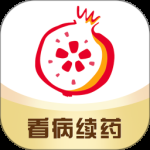 石榴云医2024版