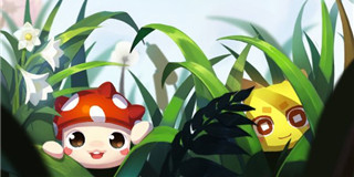 宠物相关APP