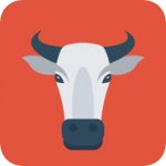 黑牛直播纯净版