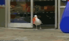 去码头整点薯条是什么含义