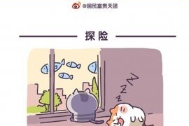 类似动漫酱的APP