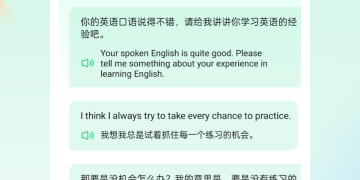 论文英语翻译APP