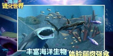海底世界手游