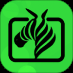 斑马视频最新版