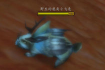 《魔兽世界》怀旧服WLK昏迷的鹿角小飞兔位置一览