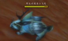 《魔兽世界》怀旧服WLK昏迷的鹿角小飞兔位置一览0