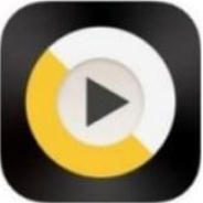 爱情鸟论坛免费观看版