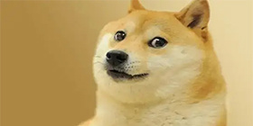 热门网络表情包