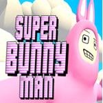 超级兔子人九游版