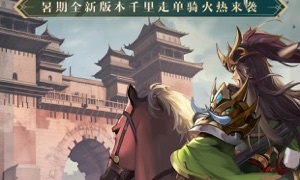 不一样的三国手游