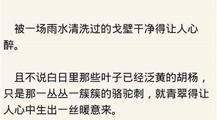 可以看一品道门小说的APP