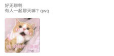 手机K歌评分APP