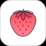 草莓约交友版
