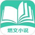 燃文小说午夜版