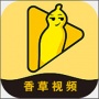 香草视频国外线路版