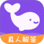 准准绿色版