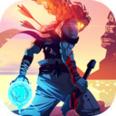 重生细胞bilibili版