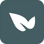 青藤之恋下载版