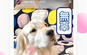 类似萝卜视频的APP