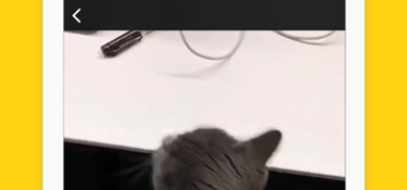 青春期最常用的播放器APP