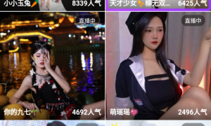 和佳人直播同款的APP
