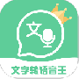 文字转语音王