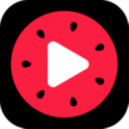西瓜视频1.0版