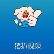 猪扒视频最新版