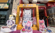 猫咪和汤×宫猫体验馆奉旨撸猫主题店上线1