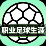 职业足球生涯