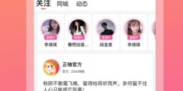 多种互动玩法的手游