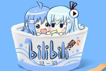 哔哩哔哩车机版APK下载方法