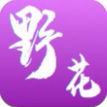 野花短视频免费版