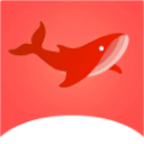 飞鱼影视清爽版