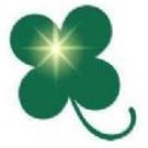 四叶草研究所最新版